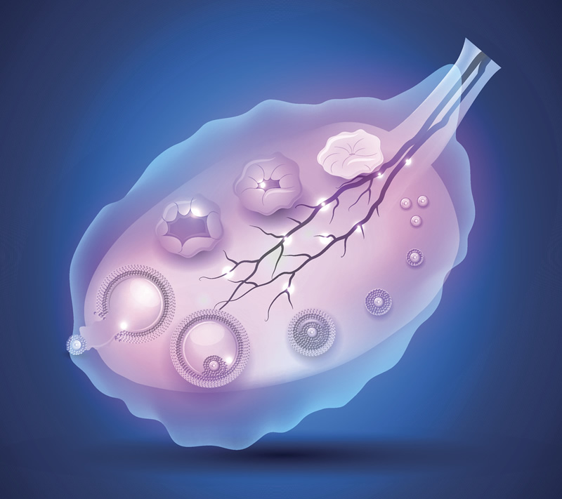 中国做试管婴儿医院排名榜,中国试管婴儿哪家强！